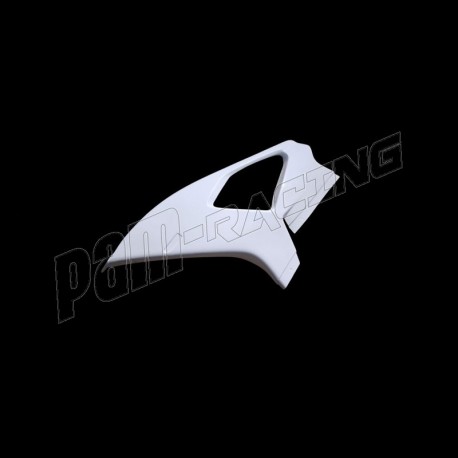 Flanc gauche fibre de verre M1000RR 2023-2025 SEBIMOTO