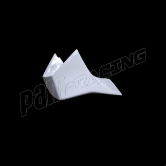 Ailettes fibre de verre M1000RR 2023-2025 SEBIMOTO