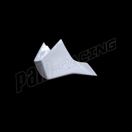 Ailettes fibre de verre M1000RR 2023-2025 SEBIMOTO