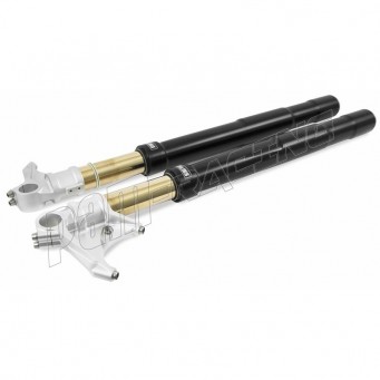 Fourche OHLINS noire S1000RR 2009-2018, HP4 2013-2015