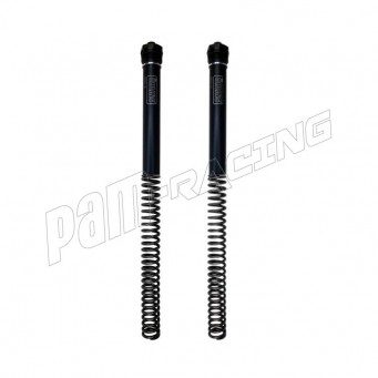 Kit ressort avec bouchons de fourche non réglables OHLINS CRF 300L/Rally 2021-2024