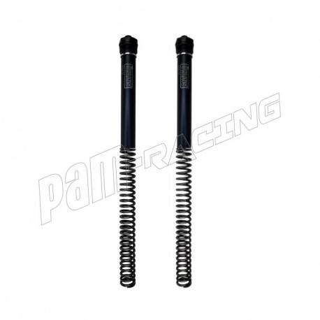 Kit ressort avec bouchons de fourche non réglables OHLINS CRF 300L/Rally 2021-2024
