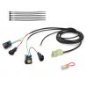 Faisceau QSH-F2G pour Quickshifter Easy1 HEALTECH iQSE-W1+QSH-F2G