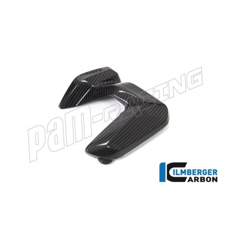 Cache bougies carbone ILMBERGER R1250GS/Adventure, R1250R/RS 2019-2023