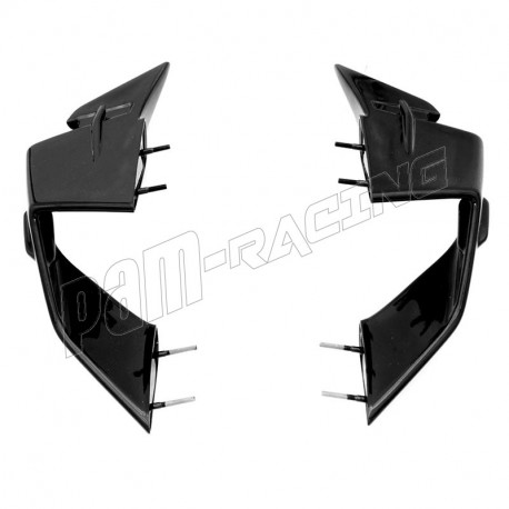 Ecopes/winglets S1000RR 2023-2024 plastique