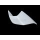 Ailettes fibre de verre S1000RR 2025 SRT FAIRINGS