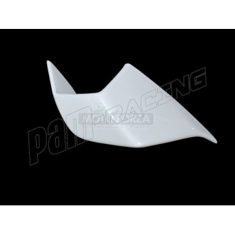 Ailettes fibre de verre S1000RR 2025 SRT FAIRINGS