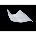 Ailettes fibre de verre S1000RR 2025 SRT FAIRINGS