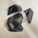 Protections de cylindre carbone CARBONVANI Panigale V4/V4S, Streetfighter V4/V4S 2025