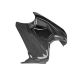 Cache réservoir carbone ILMBERGER Panigale V4/Panigale V4S 2025