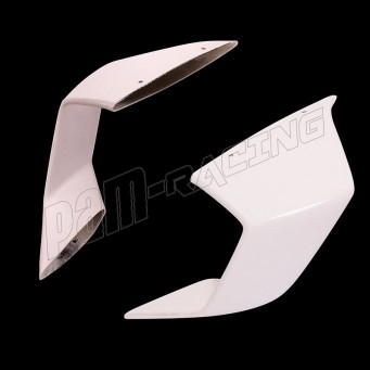 Ailettes fibre de verre S1000RR 2025 SRT FAIRINGS