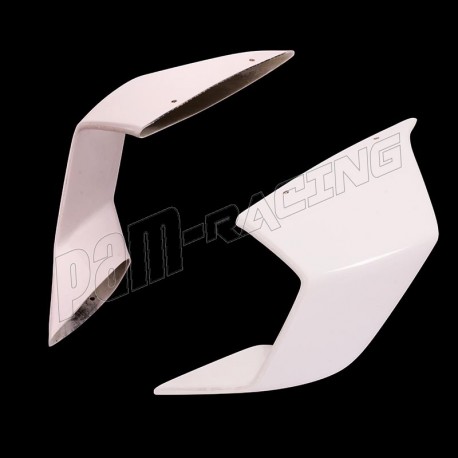 Ailettes fibre de verre S1000RR 2025 SRT FAIRINGS