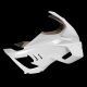 Carénage poly avant racing fibre de verre S1000RR 2025 SRT FAIRINGS