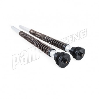 Kit cartouches OHLINS NIX30 CB750 Hornet 2025