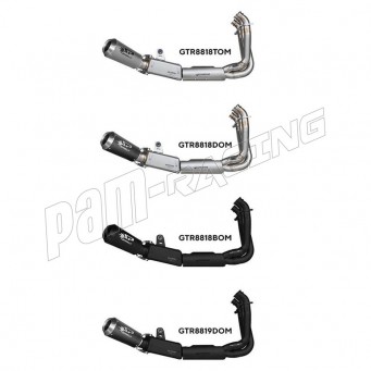 Ligne complète homologuée silencieux Moto GP Tiger Sport 660 2022-2024, Trident 660 2021-2024 SPARK