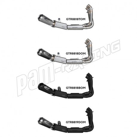 Ligne complète homologuée silencieux Moto GP Tiger Sport 660 2022-2024, Trident 660 2021-2024 SPARK