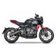 Ligne complète homologuée silencieux Moto GP Tiger Sport 660 2022-2024, Trident 660 2021-2024 SPARK