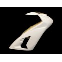 Tête de fourche racing fibre de verre ZX6RR, ZX-6R 636 03-04 SRT FAIRINGS