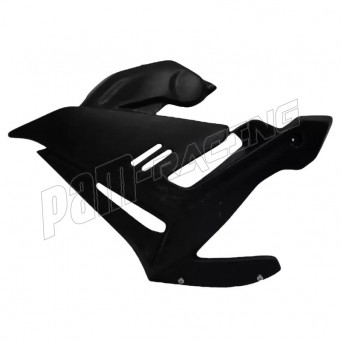 Ecopes de radiateur fibre de verre S2 CONCEPT S1000R 2021-2025