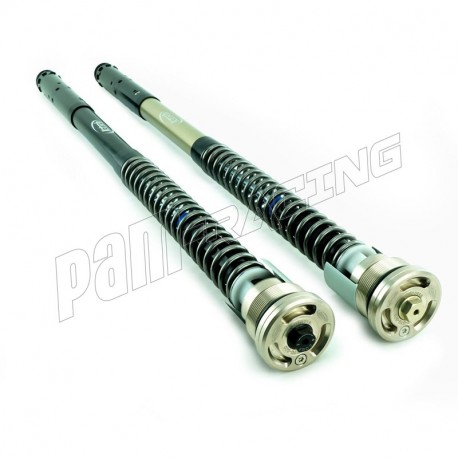 Kit cartouches TRDS-R K-TECH RS660 2020-2024, Tuono 660 2021-2026 avec fourche KYB