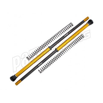 Kit cartouches de fourche Rally Race ANDREANI Ténéré 700 World Raid 2022-2024 (KAYABA 43)