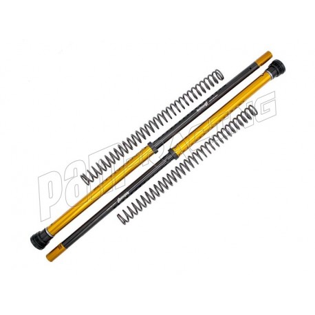 Kit cartouches de fourche Rally Race ANDREANI Ténéré 700 2019-2026 (KAYABA 43)