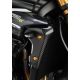 Écopes de radiateur carbone brillant Lightech 1200 Speed Triple RR/RS/RX 2021-2026
