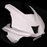 Tête de fourche racing fibre de verre R9 2025-2026 SEBIMOTO