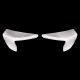 Ailettes fibre de verre R9 2025-2026 SEBIMOTO