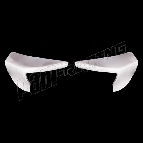 Ailettes fibre de verre R9 2025-2026 SEBIMOTO