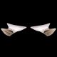 Ailettes fibre de verre R9 2025-2026 SEBIMOTO