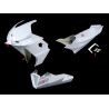 Carénage racing 8 parties fibre de verre RS660 2025-2026 SRT FAIRINGS