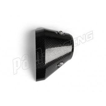 Pare-chaleur supérieur carbone Akrapovic R1300GS/Adventure 2024-2025