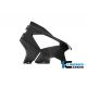 Flanc gauche racing carbone brillant ILMBERGER M1000RR 2025-2026
