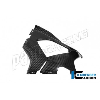 Flanc gauche racing carbone brillant ILMBERGER M1000RR 2025-2026