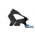 Flanc gauche racing carbone brillant ILMBERGER M1000RR 2025-2026