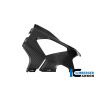 Flanc gauche racing carbone brillant ILMBERGER M1000RR 2025-2026
