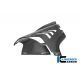 Flanc droit racing carbone brillant ILMBERGER M1000RR 2025-2026