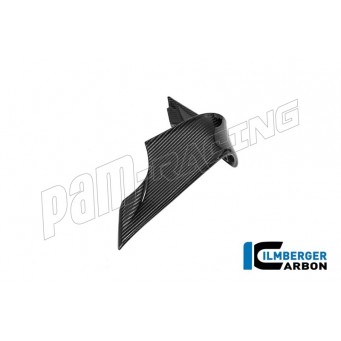 Ailerons racing carbone brillant ILMBERGER M1000RR 2025-2026