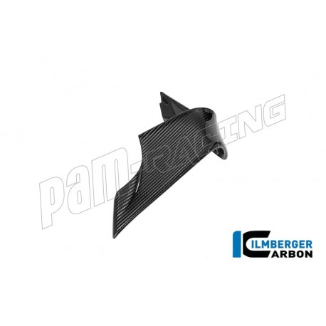 Ailerons racing carbone brillant ILMBERGER M1000RR 2025-2026