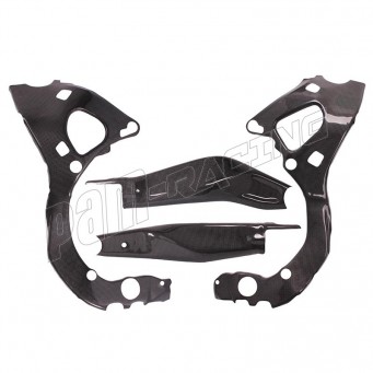Protections de cadre et bras oscillant carbone R9 2025-2026