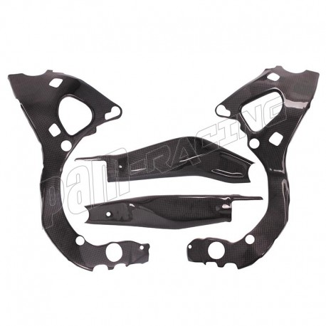 Protections de cadre et bras oscillant carbone R9 2025-2026