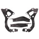 Protections de cadre et bras oscillant carbone R9 2025-2026