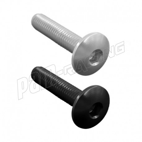 Vis aluminium tête bombée grand modèle M5 LIGHTECH