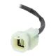 Kill Switch avec cache intégré JETPRIME Panigale V4R 2026, Panigale V4/S 2025-2026