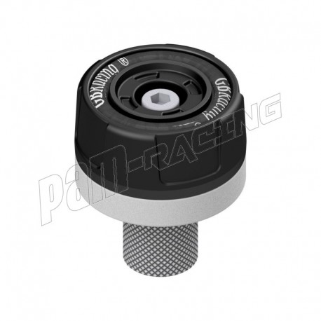 Tampons de protection de bras oscillant GB Racing RSV4 2009-2026, Tuono V4 2021-2026