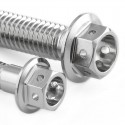 Vis d'étriers de frein inox percées M10x60 mm (1.50) PRO-BOLT Race Spec
