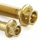 Vis d'étriers de frein inox percées M10x60 mm (1.25) PRO-BOLT Race Spec
