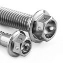 Vis d'étriers de frein titane percées M10x60 mm (1.25) PRO-BOLT Race Spec