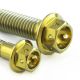 Vis d'étriers de frein titane percées M10x60 mm (1.25) PRO-BOLT Race Spec